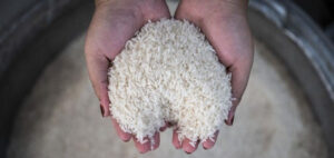 Alasan Bapanas Mengapa Harga Beras di Indonesia Timur Tetap Tinggi