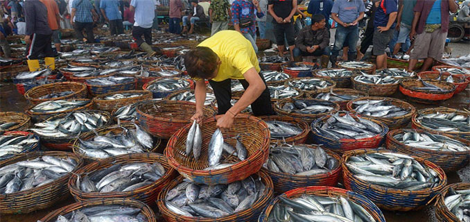 Ekspor Perikanan RI Tembus 147 Negara di 2025, Capai $5,07 Miliar